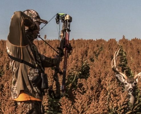 best deer hunting