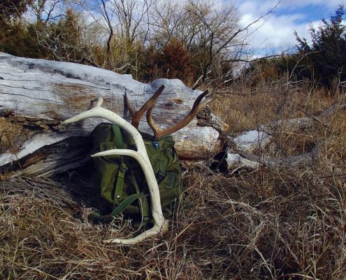Western Public Land Shed Hunting and the Laws