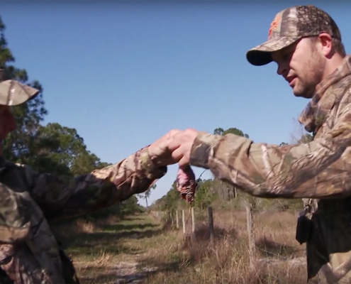 turkey hunting video
