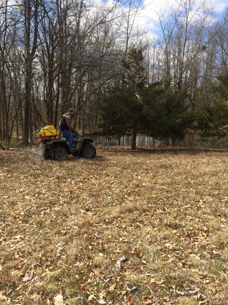 The 4 Step Process To Planting Great Spring Food Plots Bone Collector