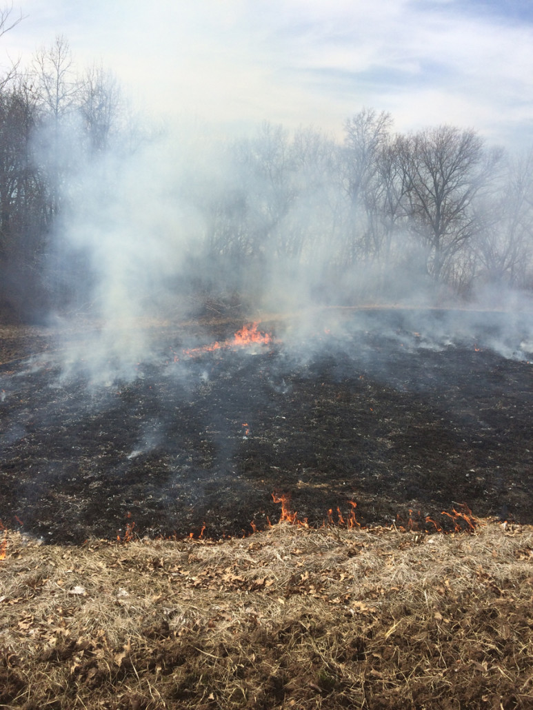 The 4 Step Process To Planting Great Spring Food Plots Bone Collector