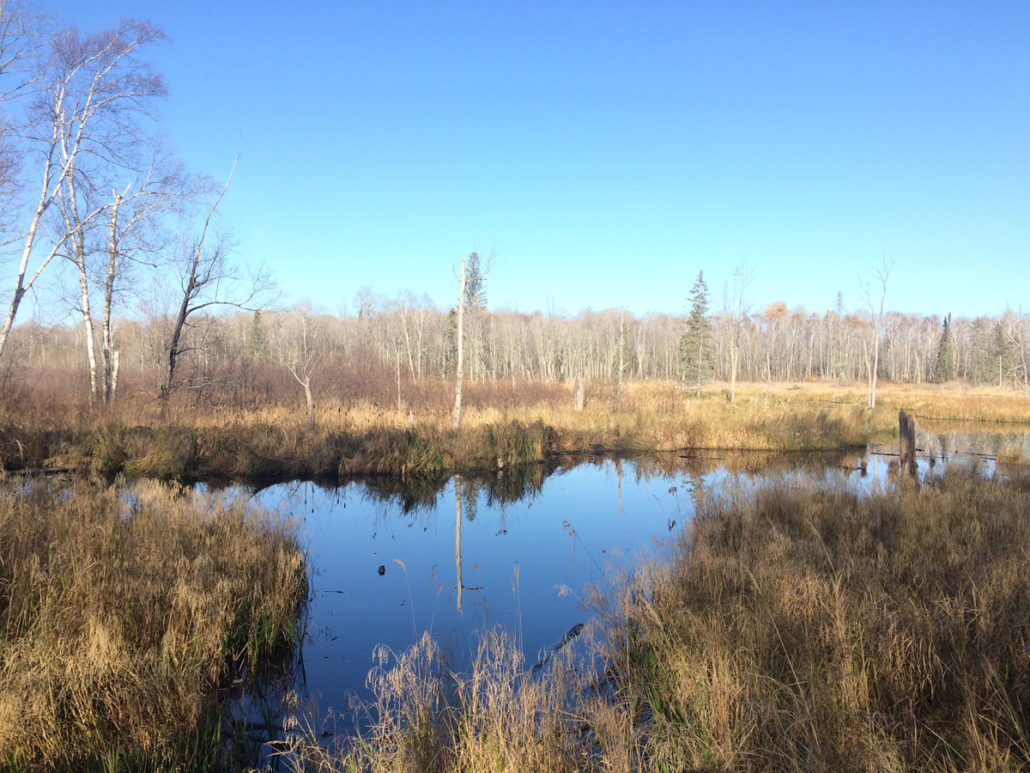 hunting sites
