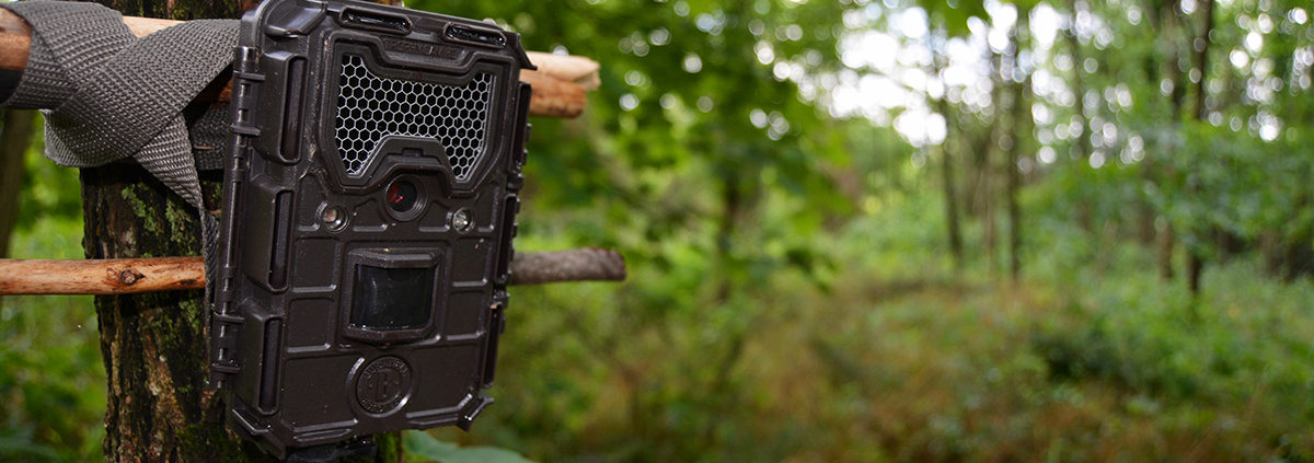 trail camera tips for the offseason | Bone Collector