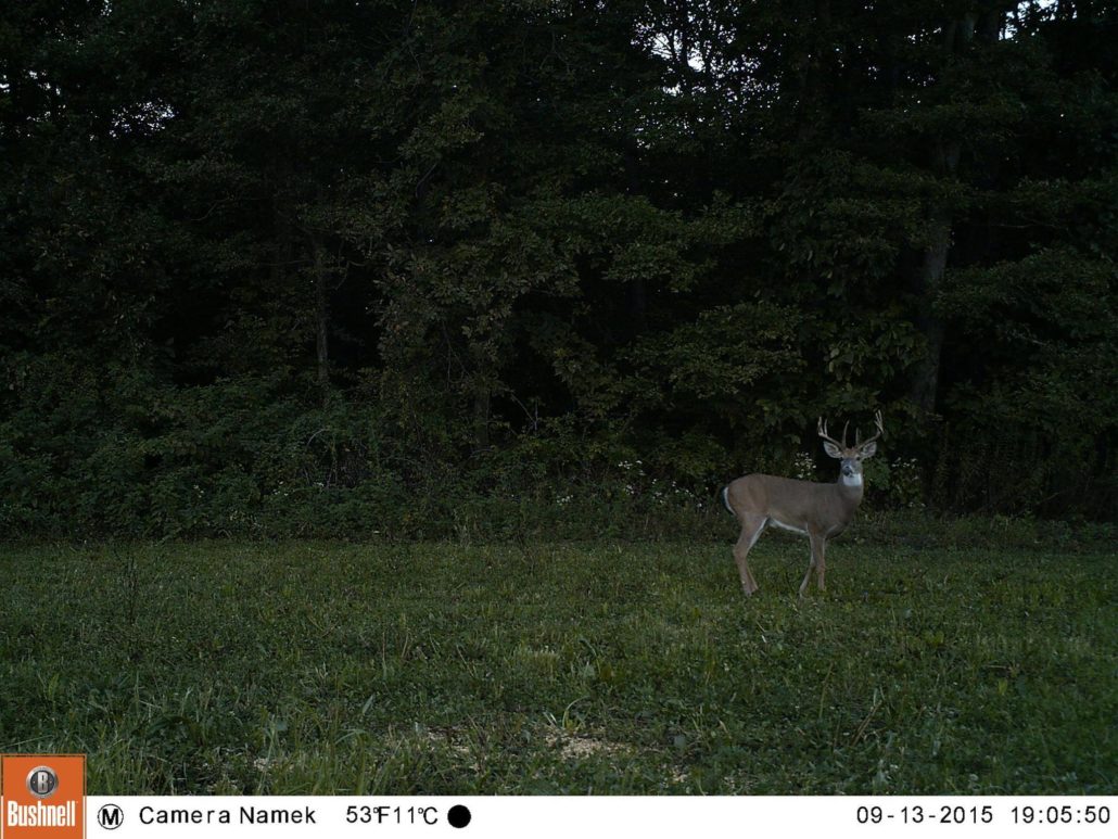 wifi trail camera range