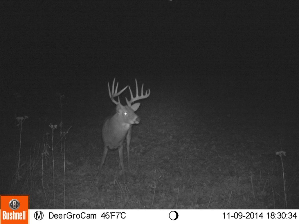 best night trail camera