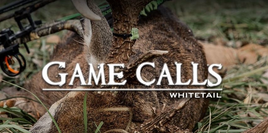 5-Deer-Calls-to-Know-for-the-Rut-feature