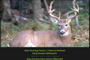 early season bow hunting morning | Bone Collector