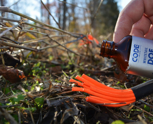 deer scents doe estrous | Bone Collector