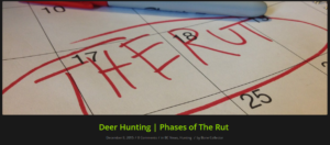 the second rut and why you should hunt it | Bone Collector