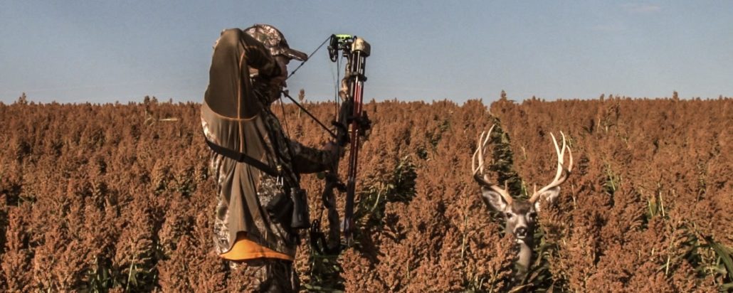 best deer hunting