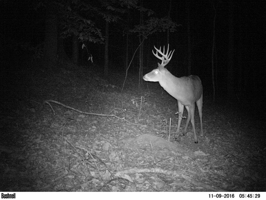late-season-deer-hunting_pic3