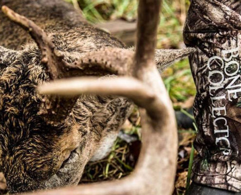 deer hunting