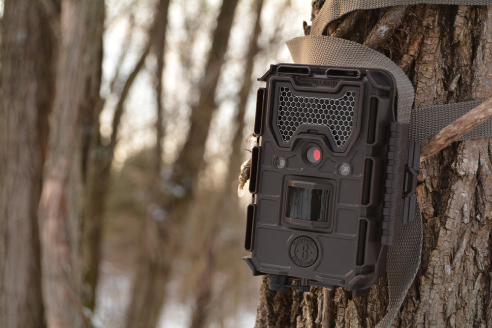 scouting for deer post season trail camera | Bone Collector