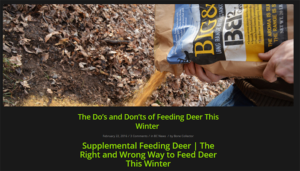scouting for deer post season feeding deer | Bone Collector