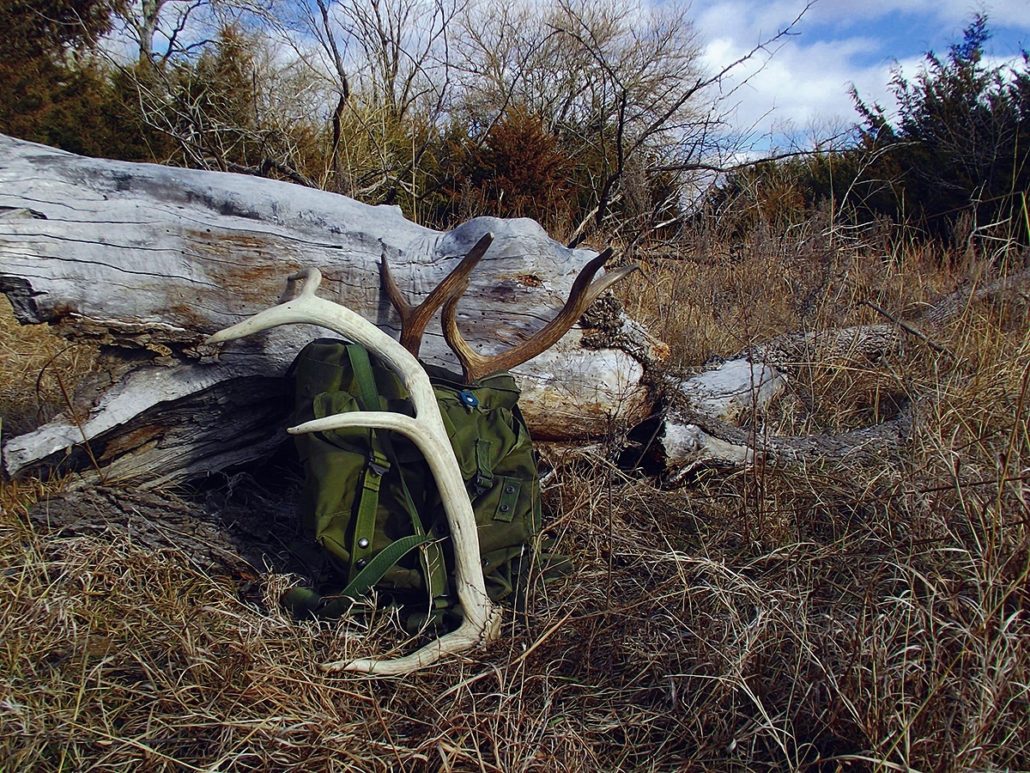 Western Public Land Shed Hunting and the Laws