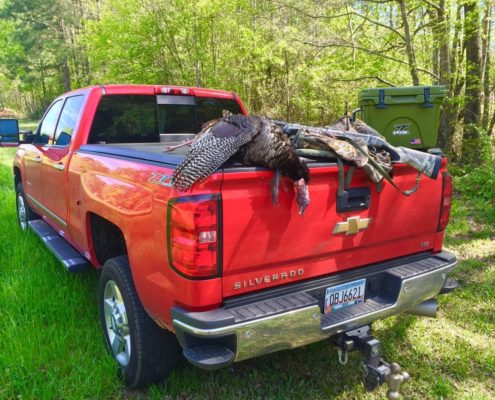 turkey-hunting-out-of-state_Feature