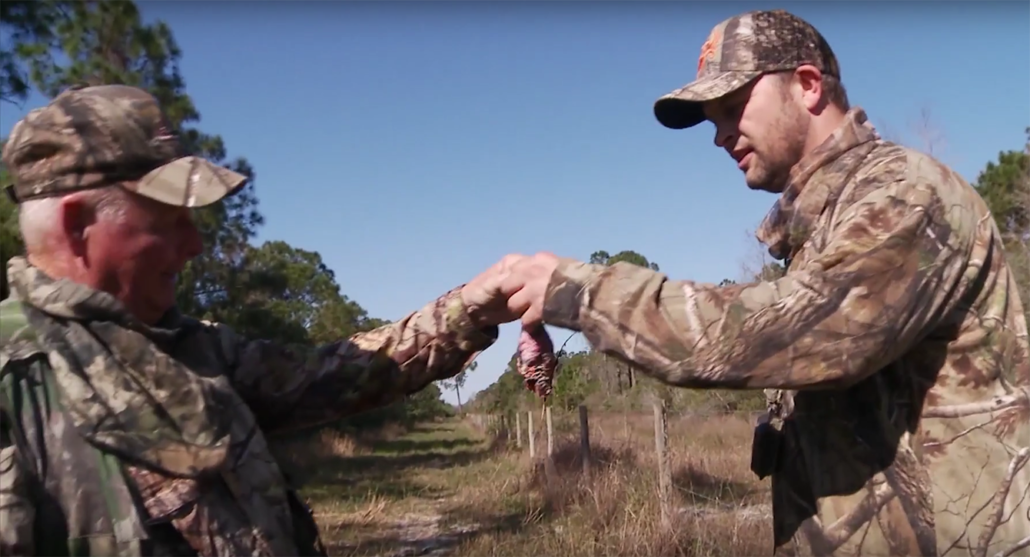 turkey hunting video