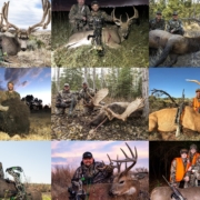 buck tilton survival instructions pdf buck tilton survival instructions pdf