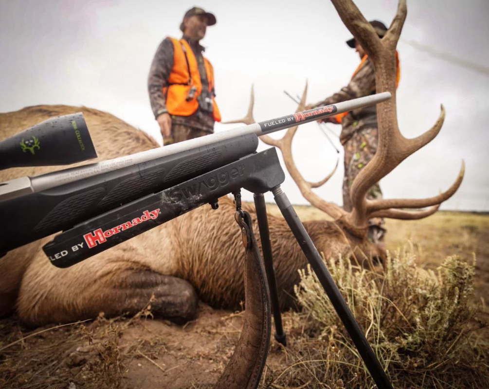 Best 6.5 Creedmoor Ammo For Hunting Elk & Deer (2023) - Big Game Hunting  Blog