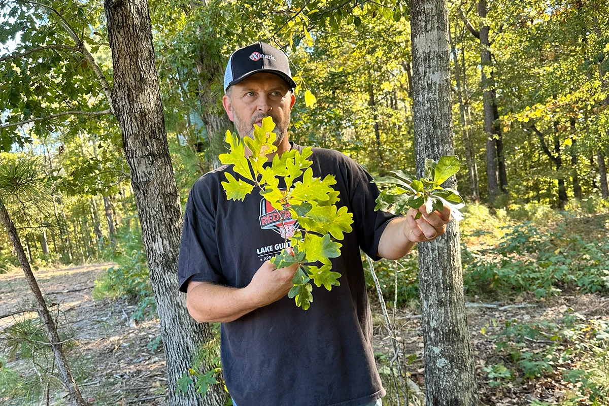 bone-collector-exmark-knowing-the-best-trees-for-deer-season-leaves