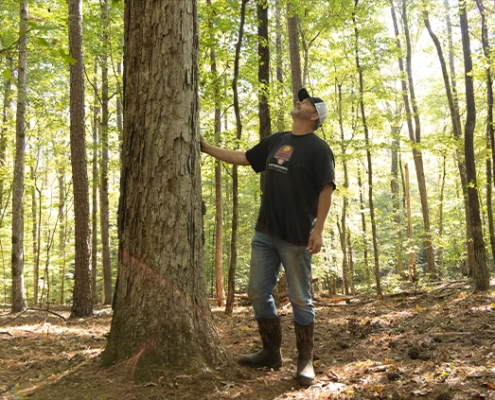 exmark-knowing-the-best-trees-for-deer-season-with-michael-waddell-bone-collector